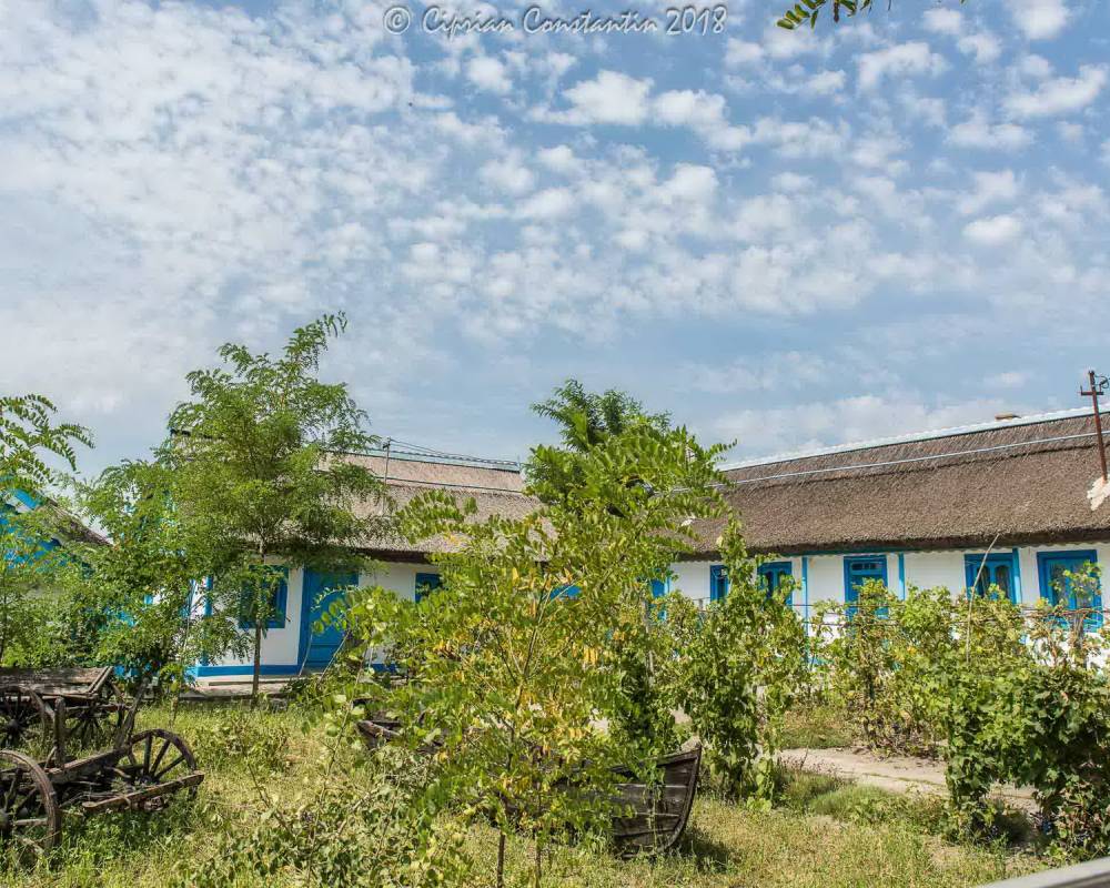 Delta Dunării - Locuri minunate pe care să le vizitezi